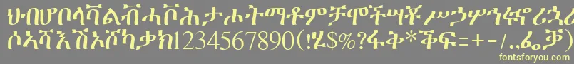 フォントGeeztimesssk – 黄色のフォント、灰色の背景
