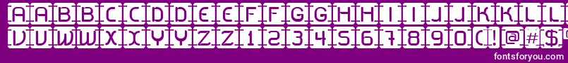 フォントU2Metalona – 紫の背景に白い文字