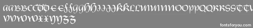 フォントCarnovstineRegular – 灰色の背景に白い文字