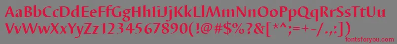 BarbedortBold Font – Red Fonts on Gray Background