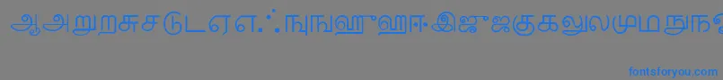 Шрифт Tamil – синие шрифты на сером фоне