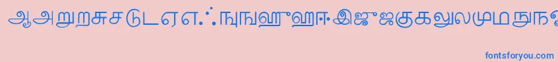 Police Tamil – polices bleues sur fond rose