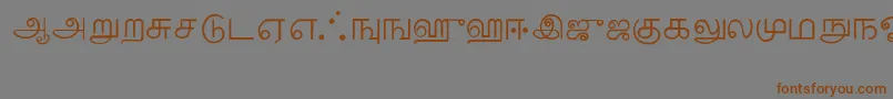 Tamil-fontti – ruskeat fontit harmaalla taustalla