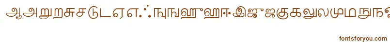 Czcionka Tamil – brązowe czcionki na białym tle