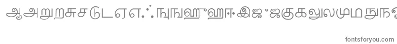 フォントTamil – 灰色のフォント