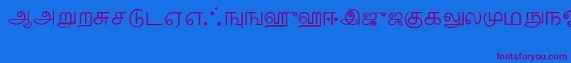 Шрифт Tamil – фиолетовые шрифты на синем фоне