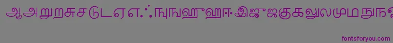 フォントTamil – 紫色のフォント、灰色の背景