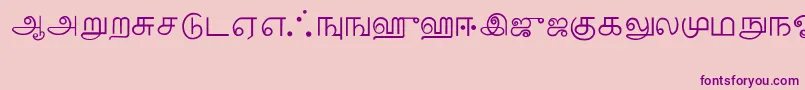 Шрифт Tamil – фиолетовые шрифты на розовом фоне