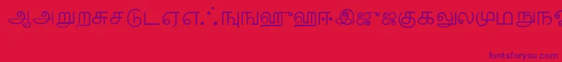 Шрифт Tamil – фиолетовые шрифты на красном фоне