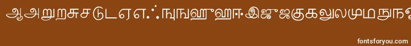 Шрифт Tamil – белые шрифты на коричневом фоне