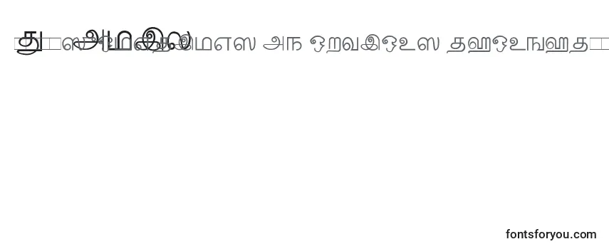 Обзор шрифта Tamil