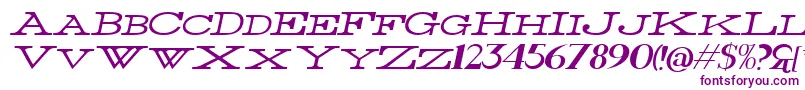 ThinWideItalic Font – Purple Fonts on White Background