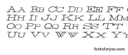 ThinWideItalic Font