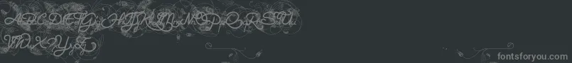 HeleneQueen.K Font – Gray Fonts on Black Background
