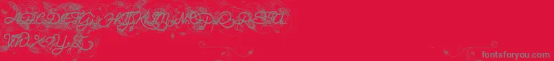 HeleneQueen.K Font – Gray Fonts on Red Background