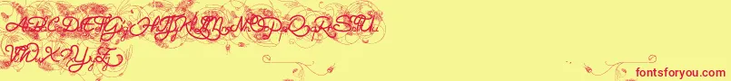 HeleneQueen.K Font – Red Fonts on Yellow Background