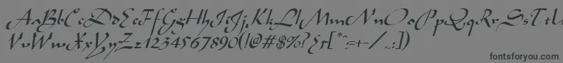 AladdinItalic-Schriftart – Schwarze Schriften auf grauem Hintergrund