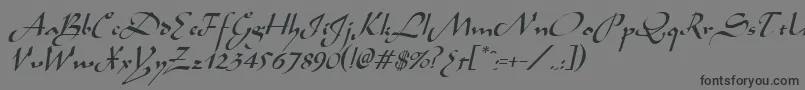 フォントAladdinItalic – 黒い文字の灰色の背景