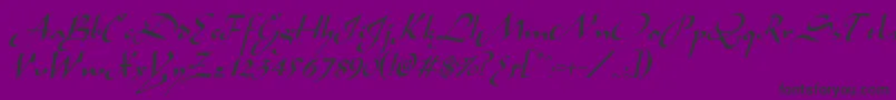 AladdinItalic Font – Black Fonts on Purple Background