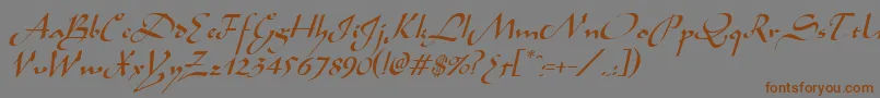 AladdinItalic Font – Brown Fonts on Gray Background