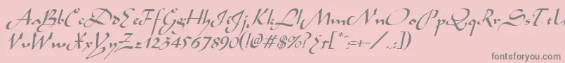 フォントAladdinItalic – ピンクの背景に灰色の文字