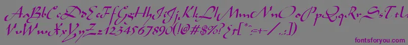 Шрифт AladdinItalic – фиолетовые шрифты на сером фоне