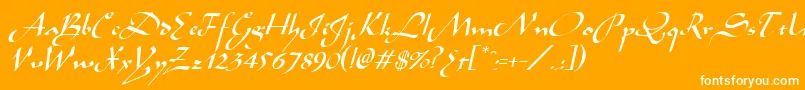 AladdinItalic Font – White Fonts on Orange Background