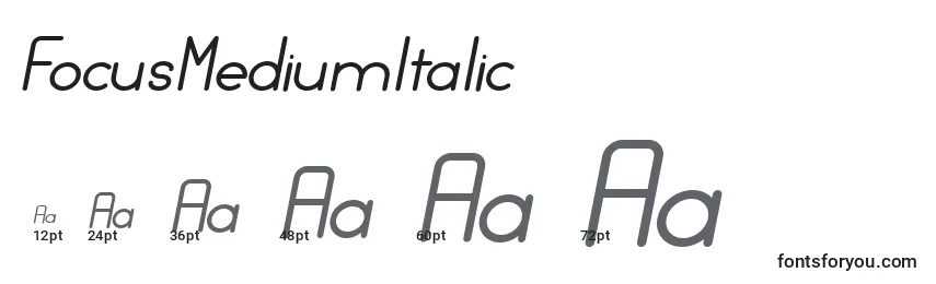 Размеры шрифта FocusMediumItalic