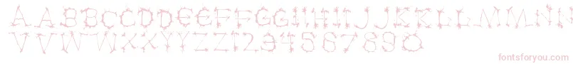 Klexalfabeta Font – Pink Fonts on White Background