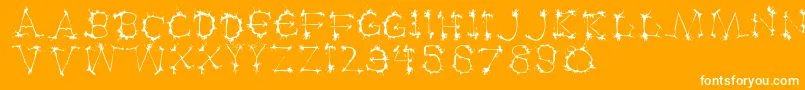 Klexalfabeta Font – White Fonts on Orange Background