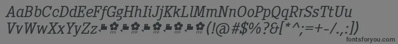 Czcionka PentayBookItalicFfp – czarne czcionki na szarym tle