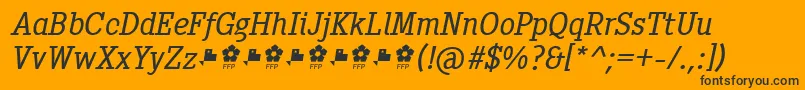 PentayBookItalicFfp Font – Black Fonts on Orange Background