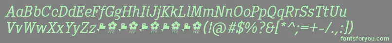 PentayBookItalicFfp-fontti – vihreät fontit harmaalla taustalla