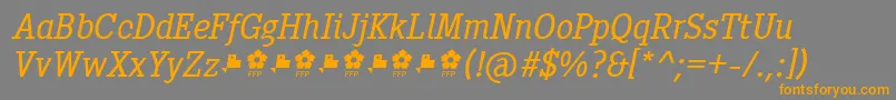 PentayBookItalicFfp-fontti – oranssit fontit harmaalla taustalla