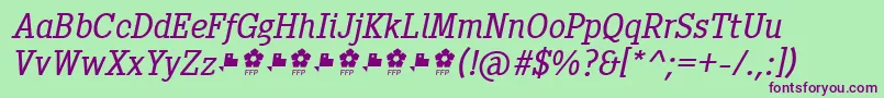 PentayBookItalicFfp Font – Purple Fonts on Green Background