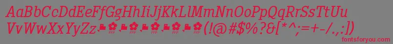PentayBookItalicFfp Font – Red Fonts on Gray Background