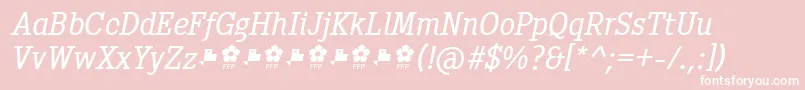 PentayBookItalicFfp Font – White Fonts on Pink Background