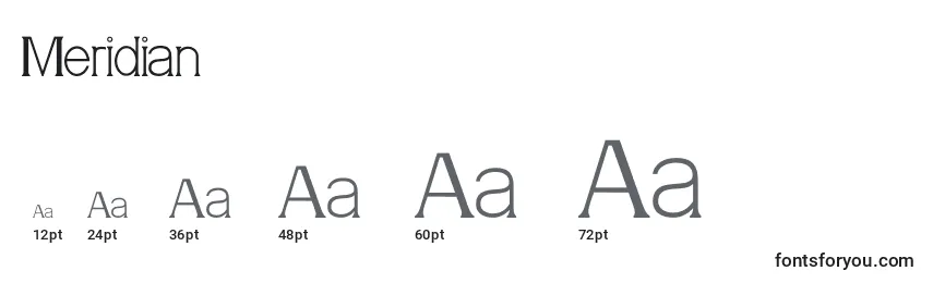 Meridian Font Sizes