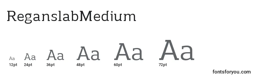 ReganslabMedium Font Sizes