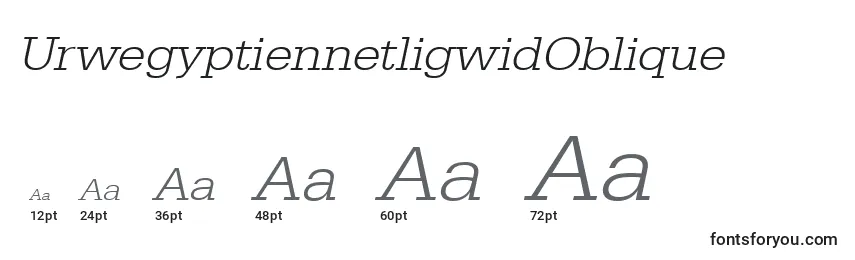Размеры шрифта UrwegyptiennetligwidOblique