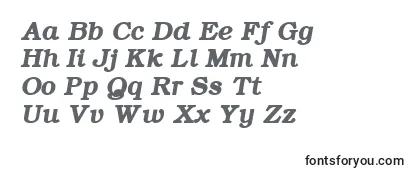 ErBukinist1251BoldItalic Font