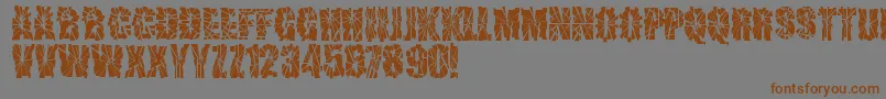 SniperShot Font – Brown Fonts on Gray Background