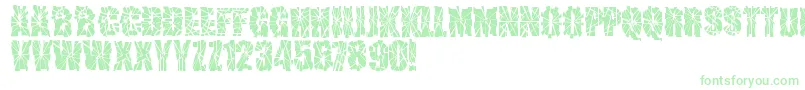 SniperShot Font – Green Fonts on White Background