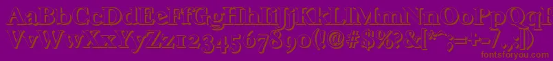 CasablancashadowXboldRegular Font – Brown Fonts on Purple Background