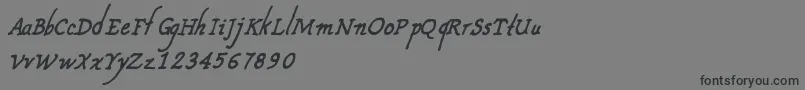 CfnouvellefranceRegular Font – Black Fonts on Gray Background