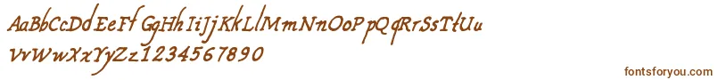 CfnouvellefranceRegular Font – Brown Fonts on White Background