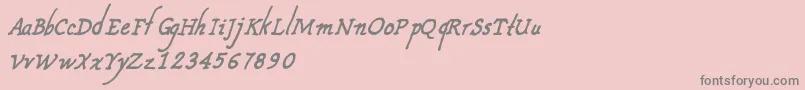 CfnouvellefranceRegular Font – Gray Fonts on Pink Background