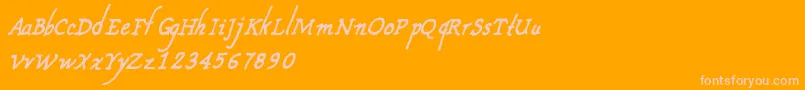 CfnouvellefranceRegular Font – Pink Fonts on Orange Background