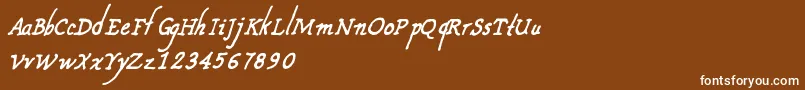 CfnouvellefranceRegular-Schriftart – Weiße Schriften auf braunem Hintergrund