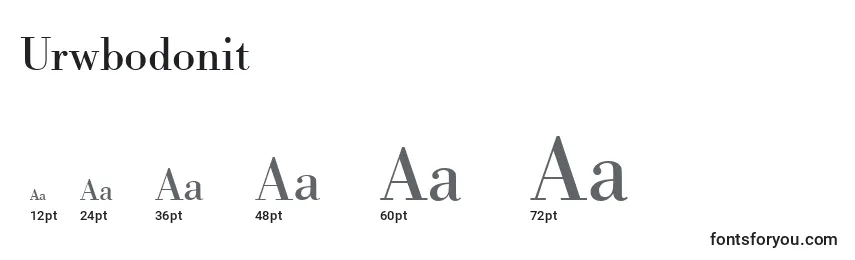 Размеры шрифта Urwbodonit